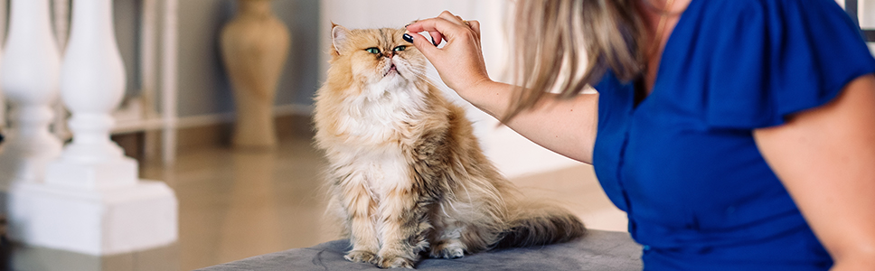 Weitere Informationen